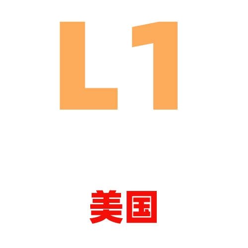 L1 美国
