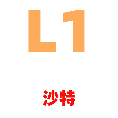 L1沙特